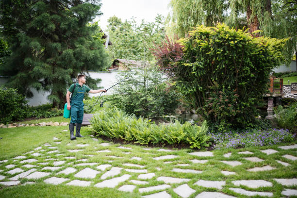 Best Pest Control for Homes  in Swede Heaven, WA