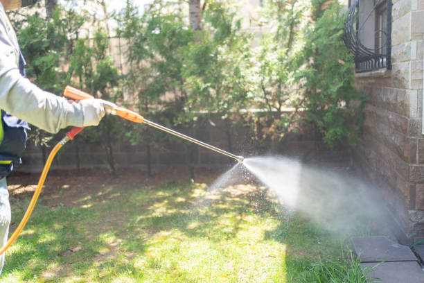 Best Residential Pest Control  in Swede Heaven, WA