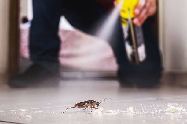 Best Pest Removal Services  in Swede Heaven, WA