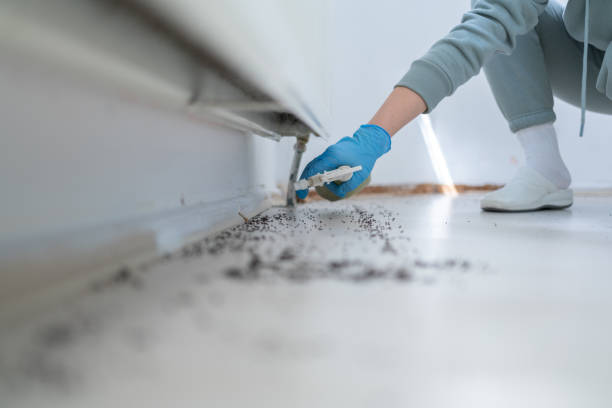 Pest Control Cost in Swede Heaven, WA