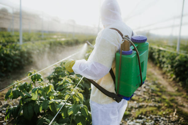 Best Best Pest Control Companies  in Swede Heaven, WA